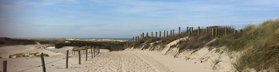 wandelcoaching-Den Haag